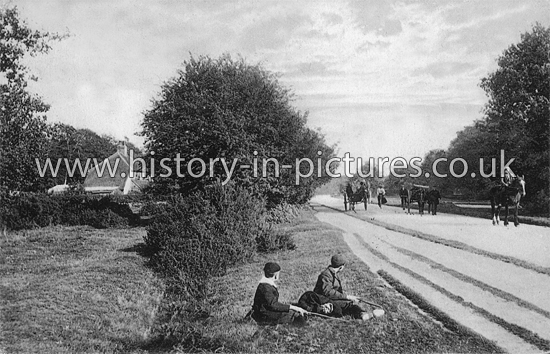 Epping Road near Ambresbury Banks, Epping Forest, Essex. c.1911
